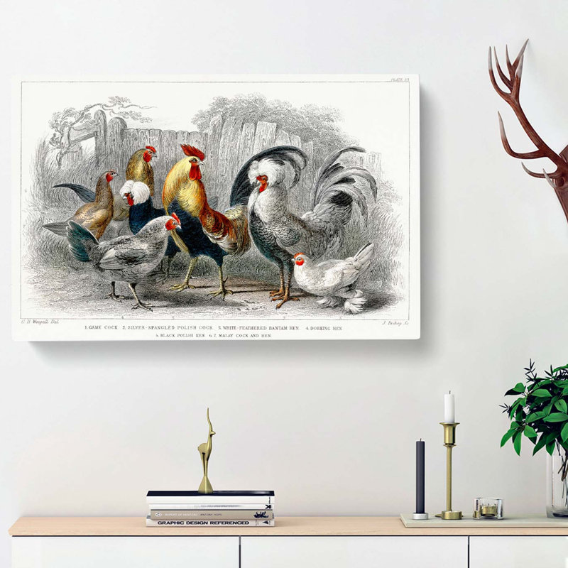 Cocks & Hens by Oliver Goldsmith - Wrapped Canvas, 40cm H x 60cm W x 3cm D