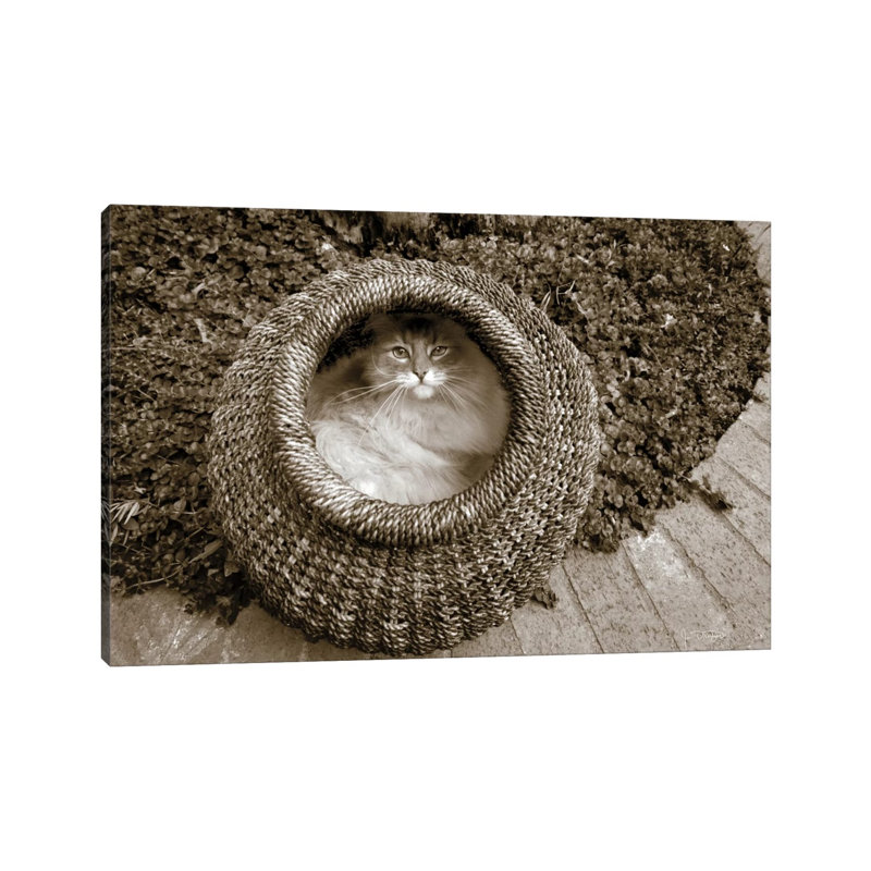 Cat In A Basket by Jim Dratfield - Wrapped Canvas Print, 66.04cm H x 101.6cm W x 1.905cm D