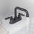 Centerset 2-Handle Bathroom Faucet with Drain Assembly-58682274