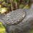20"H MGO Goose Garden Statue-Bronze-899048287