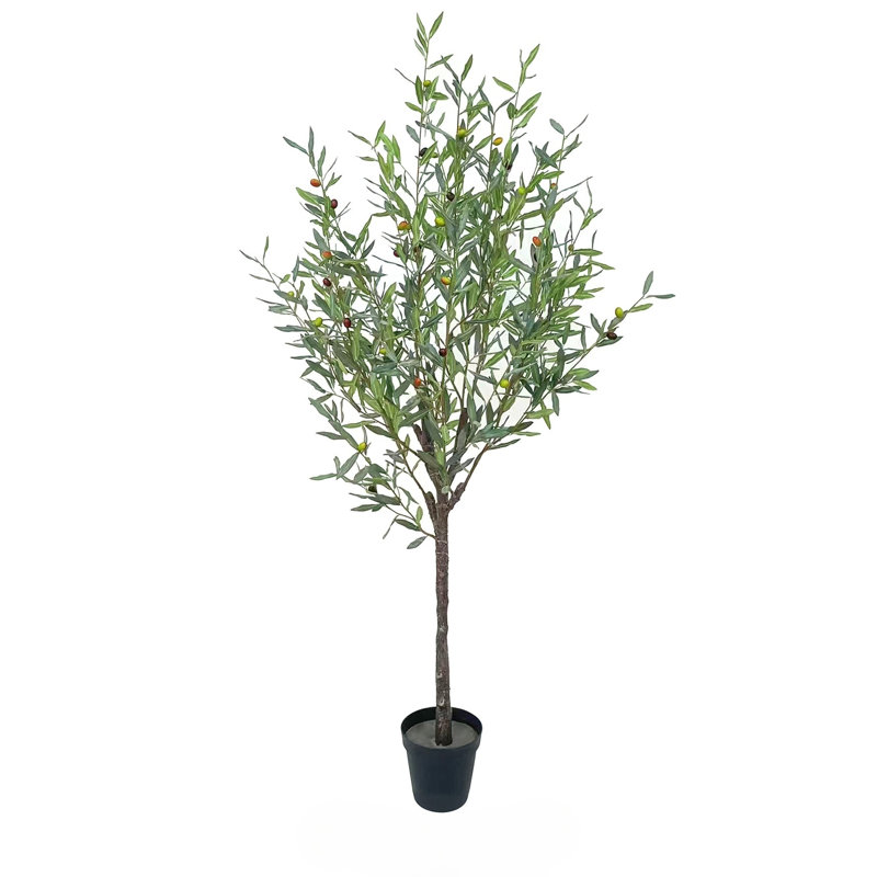 Faux Spanish Olive Tree 78in