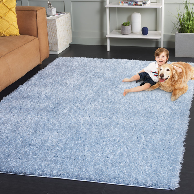 Tapis de couleur unie à poils longs Lindsay, Rectangle 3 po x 5 po, Aqua
