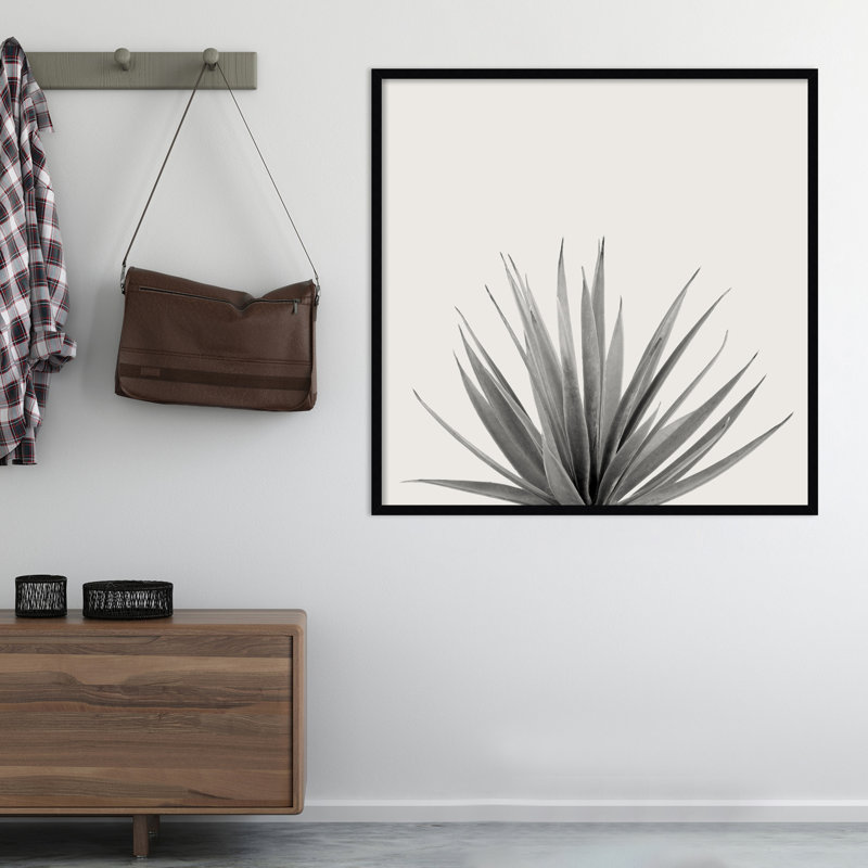 «Haze Agave Succulent», reproduction de photo encadrée, H 33 po x l 33 po, Cadre noir