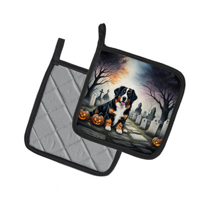 Bouvier bernois Spooky Halloween