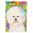 Bichon Frise (White )
