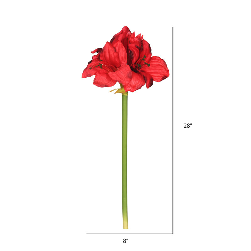 Amaryllis Arrangement