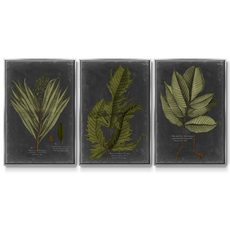 Foliage Dramatique I, ensemble de 3 toiles encadrées, Argent, H 36 po x l 72 po