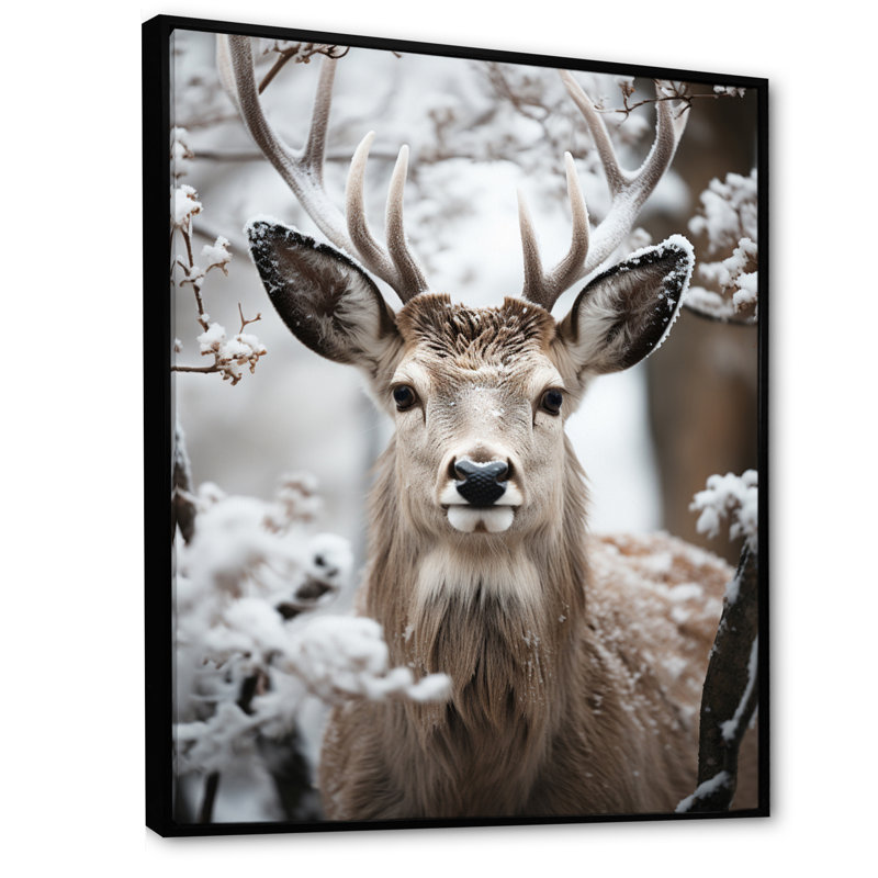 Baruc Animal Winter Deer - Deer, art mural encadré, 32" H x 24" W, Cadre flottant noir