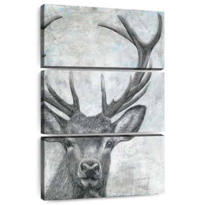 Portrait d'un cerf Brampt