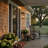 21.7 in. 2-Light Black Dusk to Dawn Outdoor Wall Sconce with Glass Shade（1-Pack）-806285639-806285636