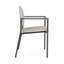 Chaise d'invité Chat Chat-98671301-98881775