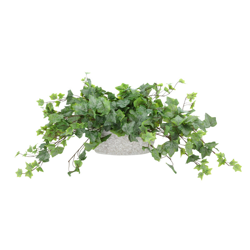 Lierre dans un vase décoratif en pierre