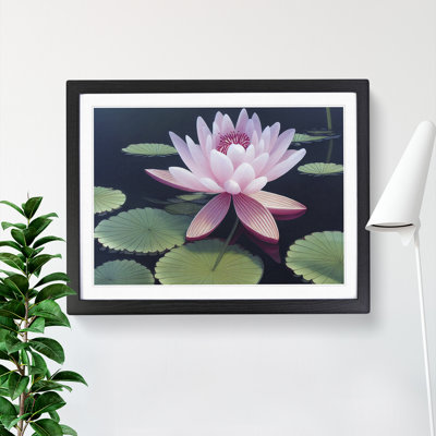 Soulful Water Lily Flower - Framed Print