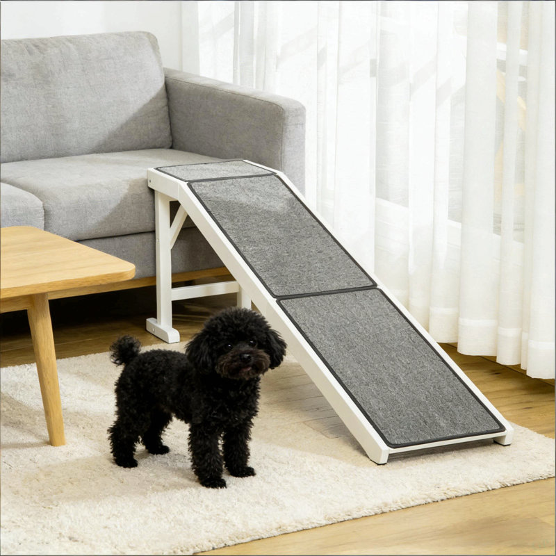 Rampe pratique pour animaux de compagnie, rampe pour chien