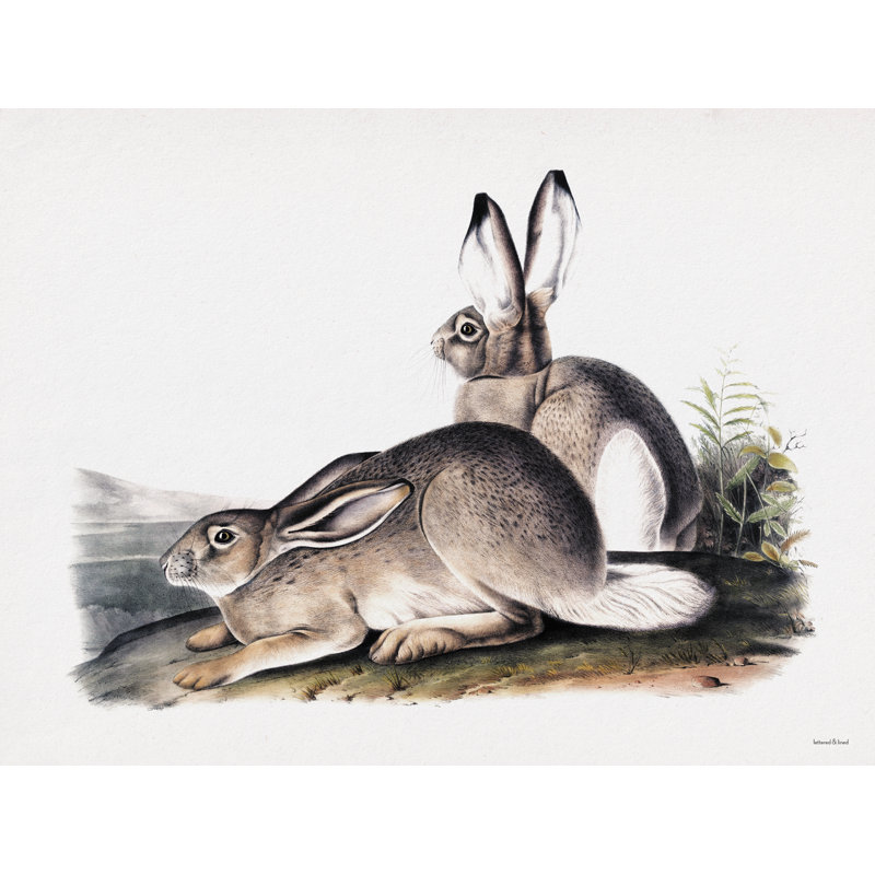 Paire d'illustrations de lapin, H 12 po x l 18 po x P 1,25 po