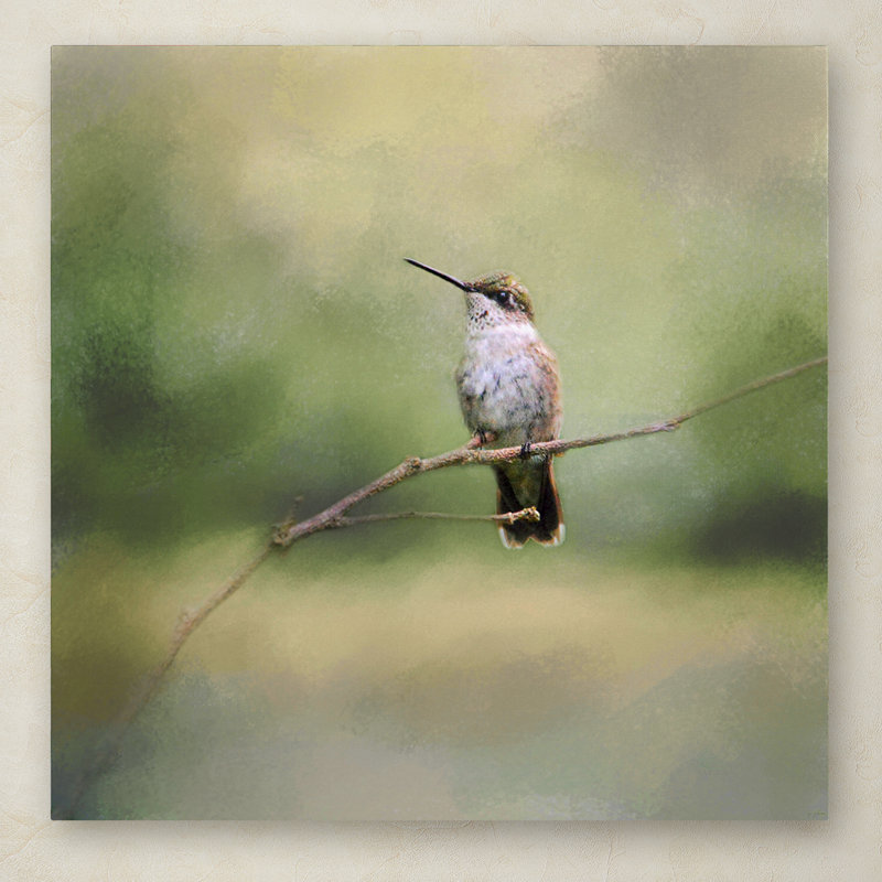 Tiny Visitor Hummingbird Canvas Art in Serene Colors