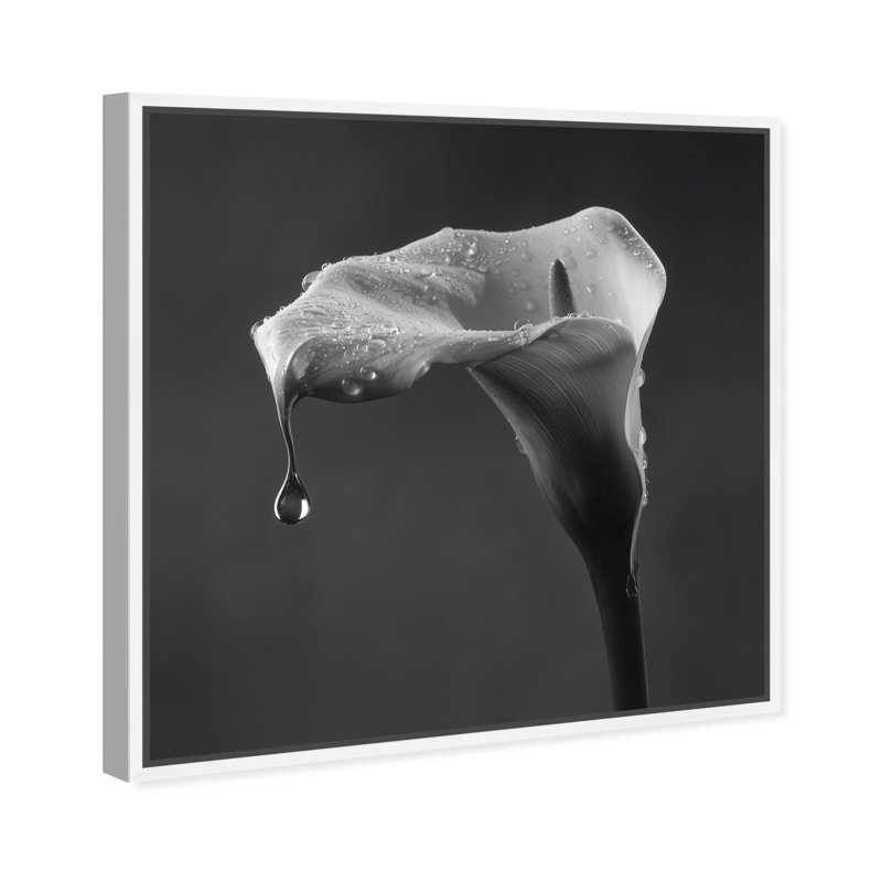 Midnight Rain Print by Oliver Gal, 17"H x 17"W, White Floater Frame