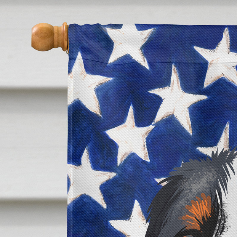 Polyester à 2 côtés 28 x 40 po drapeau maison, Bouvier de l'Appenzell