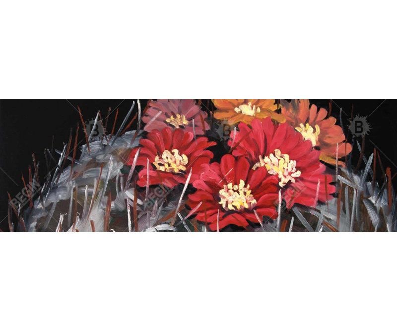 Cactus en fleur Mammillaria - décor de chambre contemporain
