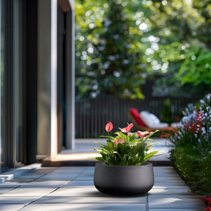 Pot à fleurs en béton Renfrew, H 8 po x l 15 po x P 15 po, Noir anthracite