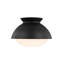 Lucerne 1 - Light Flush Mount-958214353