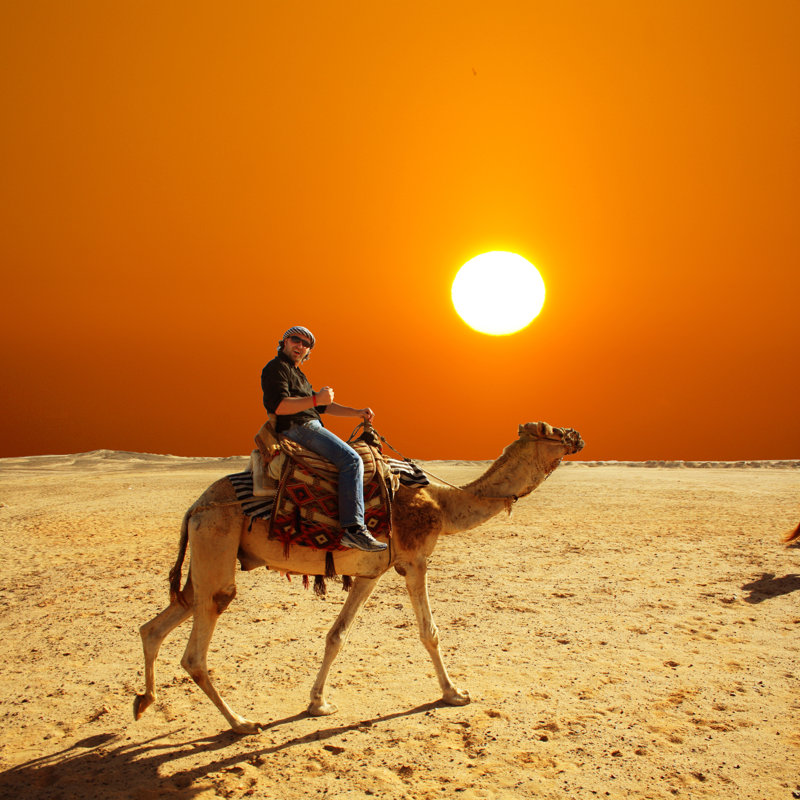 Man In Glasses Riding A Camel In Desert At Sunset - Wrapped Canvas Print, 30cm H x 30cm W x 3.8cm D