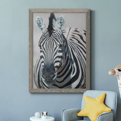 " Namibia Zebra "