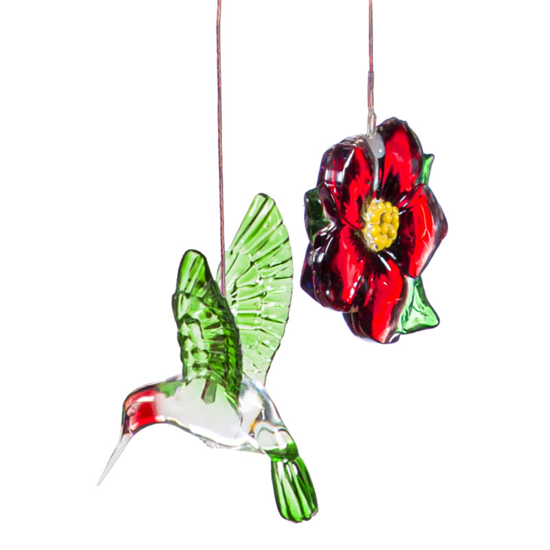 Couleur changeant de colibris et de fleurs