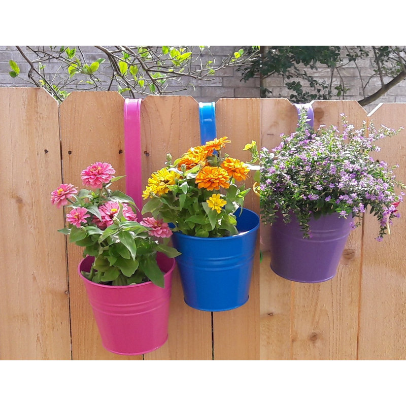 Aardsma Metal Railing Planter, 3, Saffron/Red/Violet