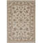 Oriental Area Rug