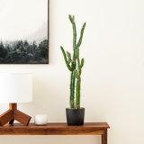 Artificial Green Cactus, Black Plastic Planters Pot