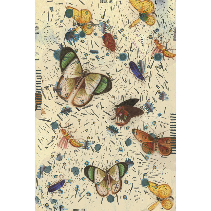 Confetti With Butterflies III - Graphic Art, 91cm H x 61cm W, Black Floater Framed