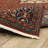 Collinsville Performance Oriental Indoor Rug-616452045