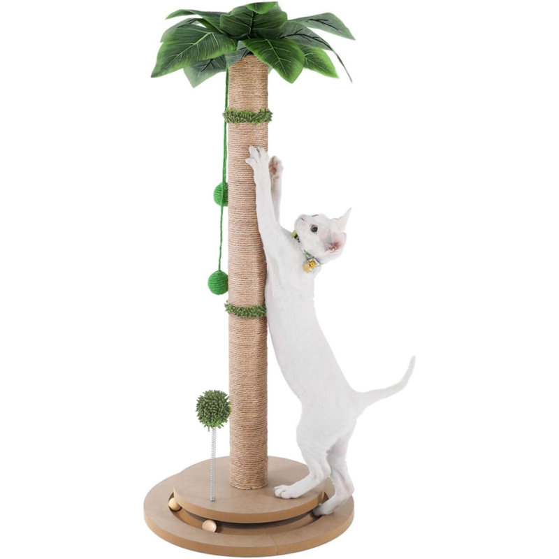 Grattoirs pour adultes chats d'intérieur - Grattoir pour chat de 33,2 po de hauteur avec corde en sisal - Grattoir pour chat mignon