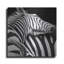 «Zebra VIII» par Debra Van Swearinge