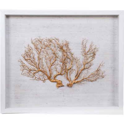 Sealife Print