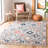 Robichaux Performance Southwestern Rug-2080248917