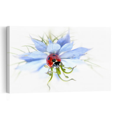 Serene Ladybug On Blue Flower Delicate Serene Vibrant Ladybug Flower Nature Wall Art Print by Jacky Parker - Print