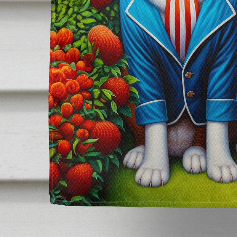 Drapeau «All American House», Saint-Bernard