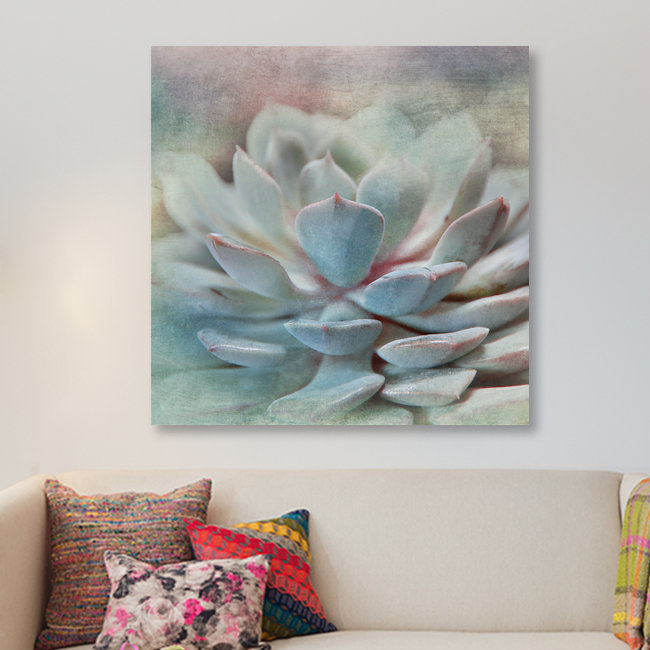 «Pastel Succulent I», impression sur toile, H 12 po x l 12 po x P 0,75 po, Toile tendue, Pas de tapis