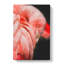 Pink Flamingo Abstract - Wrapped Canvas-56637692
