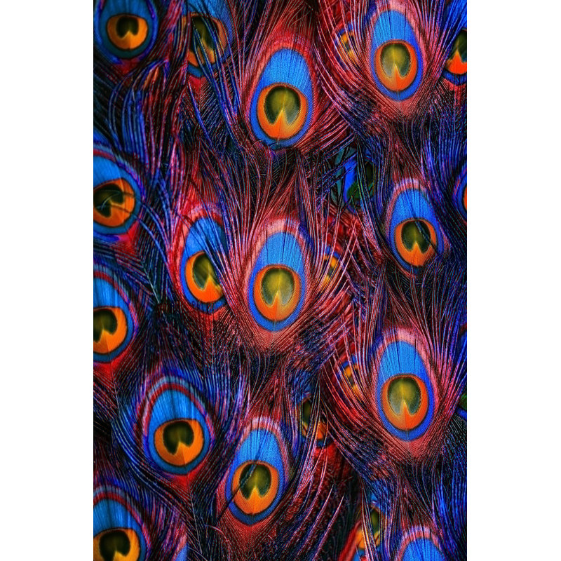 Colourful Peacock Feathers - Wrapped Canvas Print, 46cm H x 30cm W