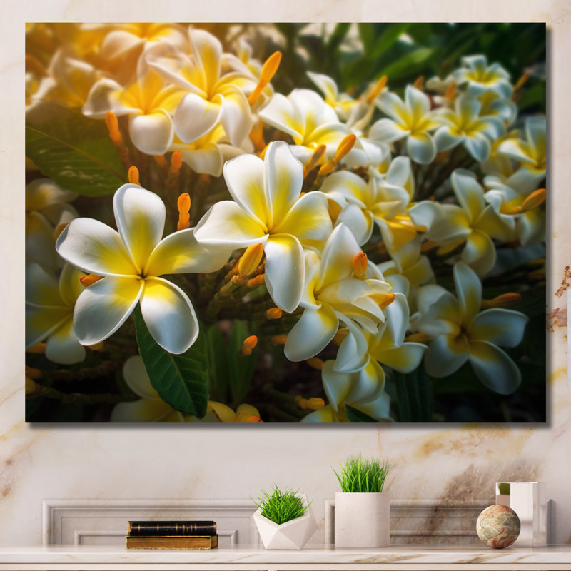 «Yellow White Exotic Plumeria Blooms I», reproduction sur toile, H 34 po x l 44 po x P 1,5 po, Toile tendue