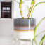 Ceramic Pot Planter-63880904-63880905