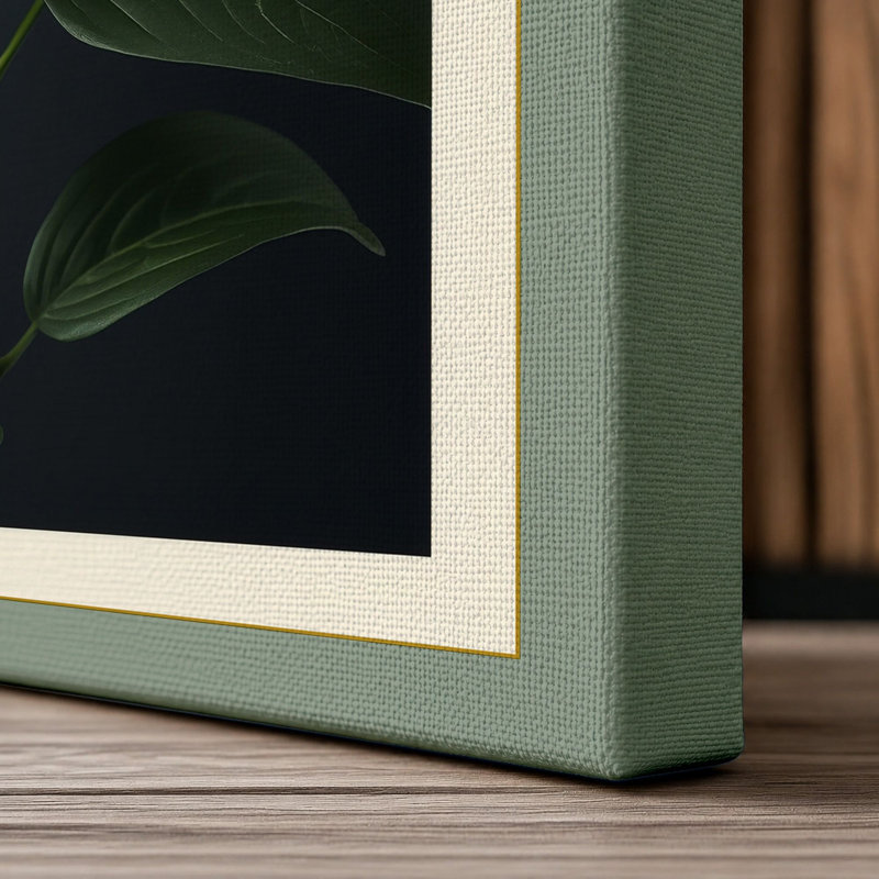 White Camellia Study Botanical - Wrapped Canvas, 24x16 - 61.0 x 40.6 cm, Sage Border