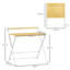 Annelieke Metal Base Writing Desk