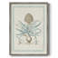 Reproduction encadrée Willow Blue Besler IV - bois massif-1852023256
