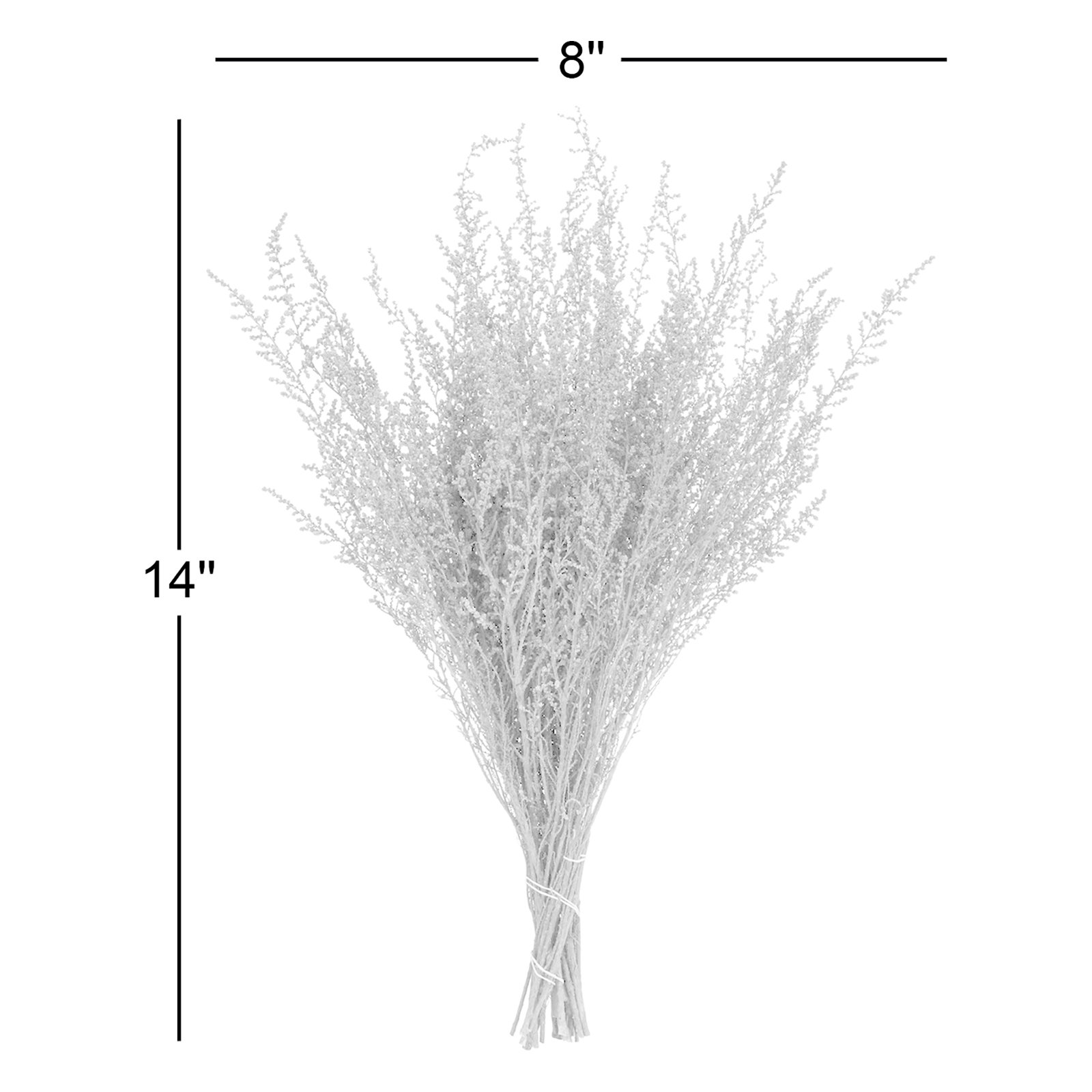 Preserved Stoebe Stems, Spring Green 