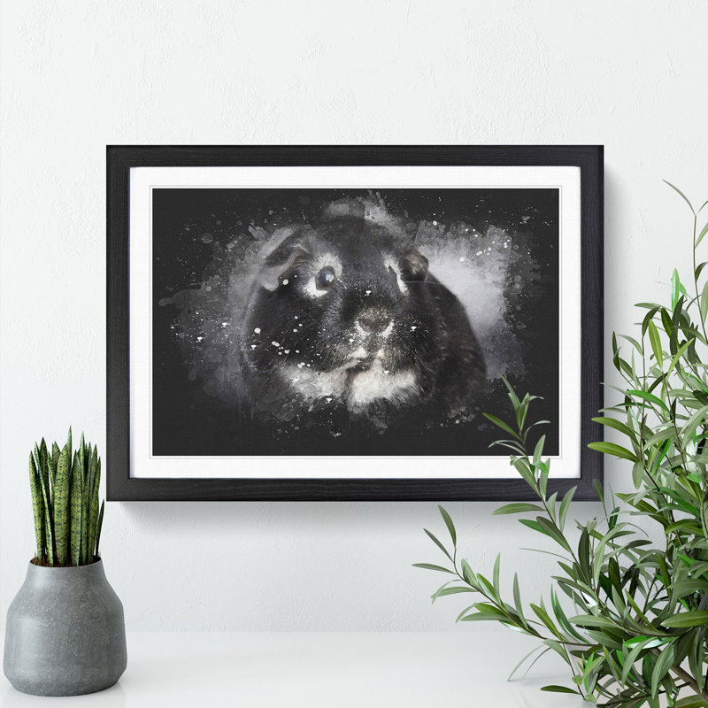 Guinea Pig - Picture Frame Graphic Art, 27cm H x 36cm W x 2cm D, Black Framed