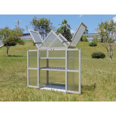 Mini Greenhouse Kit - Outdoor Plant Stand, Small Green House